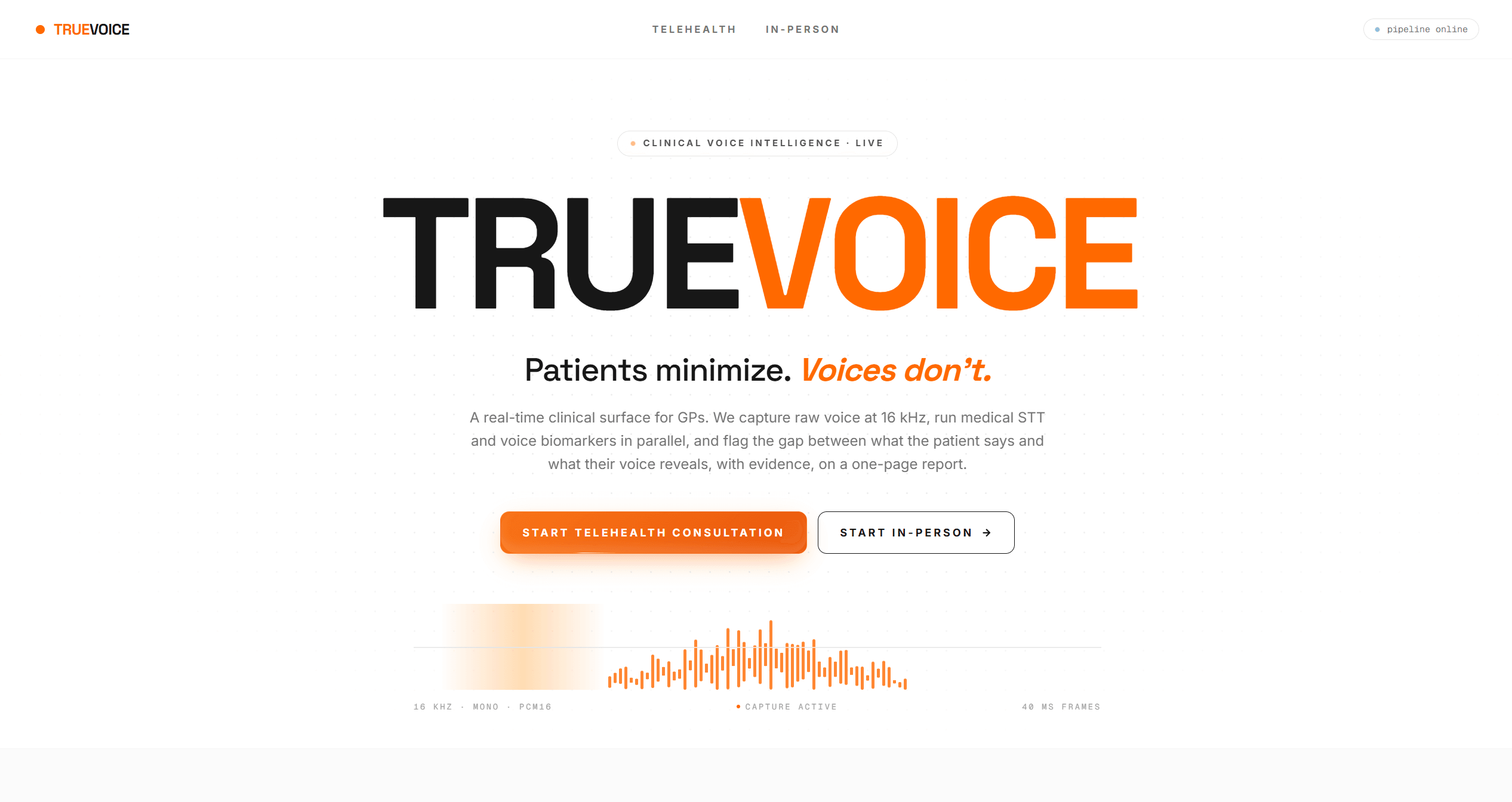 TrueVoice screenshot